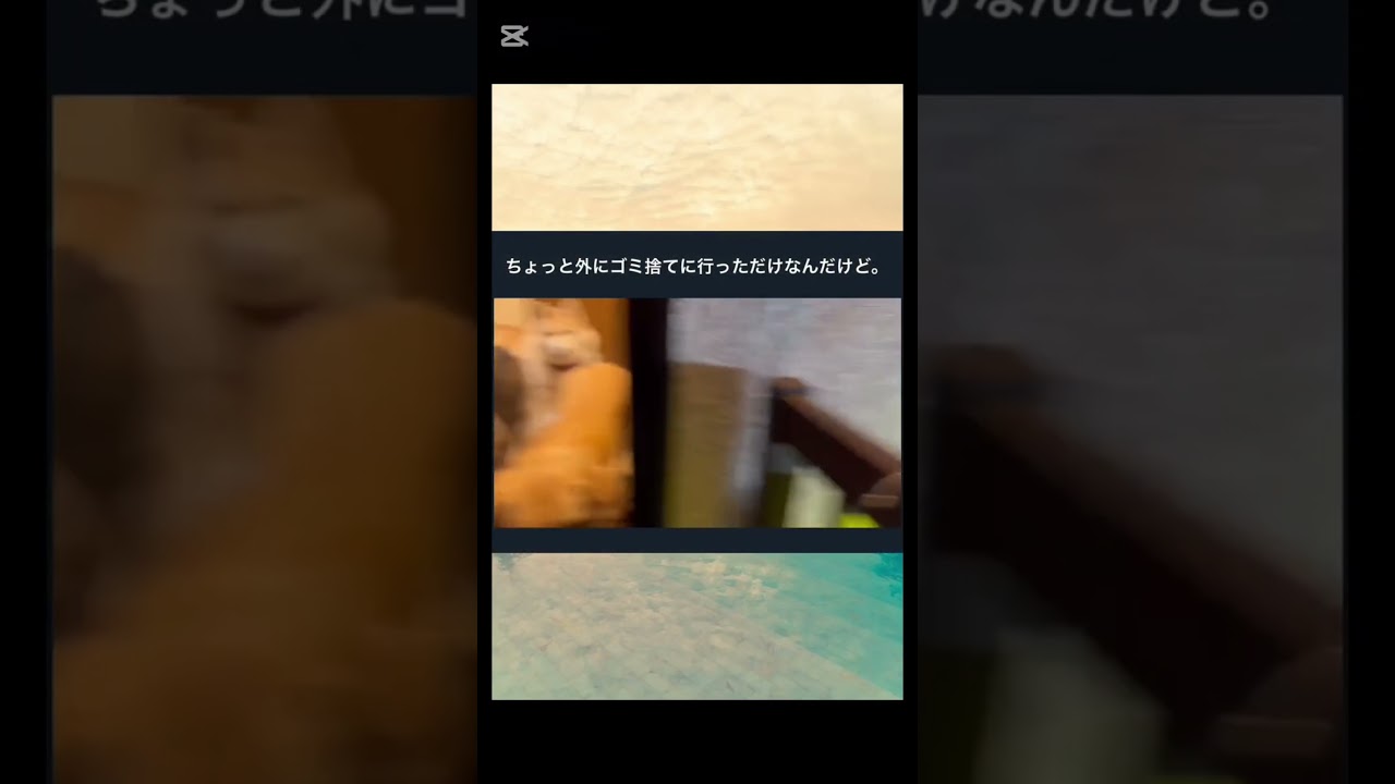 閉めんな閉めんなwww #shorts #犬 #おすすめ