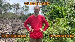 Clearing Land - Costs and Considerations to Land Prep for Starting a Durian Plantation