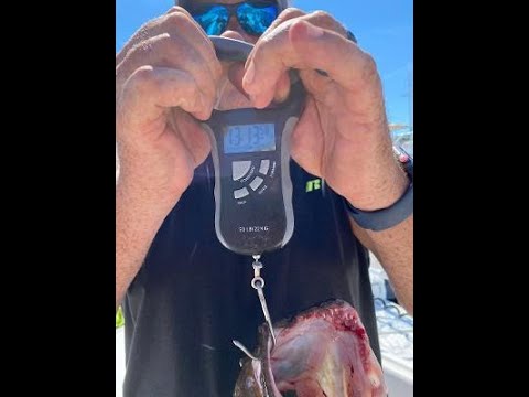 2020 Fluke Year in Review