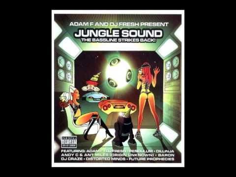 Adam F & DJ Fresh ‎– Jungle Sound The Bassline Strikes Back! (2004)