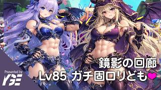 LV85のガチ固いロリ2人を叩け フィオナ&クリスティ VS LV74での死闘 鏡影の回廊、11日目 | 実況ライブ「ドットアビス」
