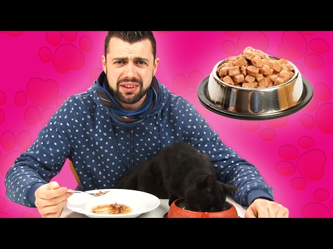 Cat Owners Try Cat Food