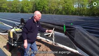 Aspergeteler van La Place   Walter Gubbels #1