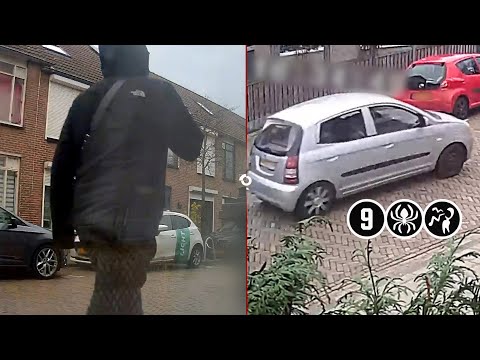 Schoten gelost op straat in woonwijk | Vlissingen