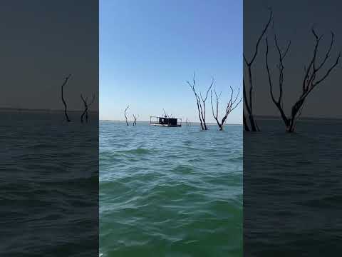 MATA DOS MACACOS / GUARACI-SP #pescaria #pescaesportiva #pesqueesolte