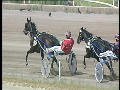 Trotto 28/05/2017 - 1ª corsa