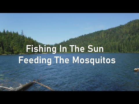 Fishing In The Sun Feeding The Mosquitos