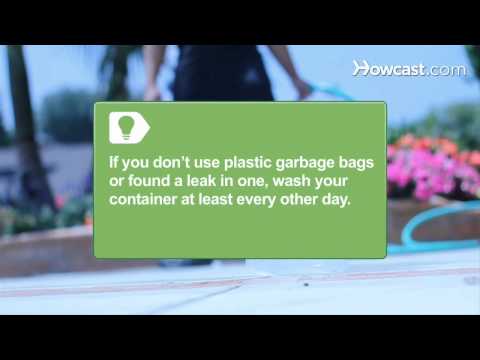 フルーツハエを駆除する方法 (How to Get Rid of Fruit Flies)