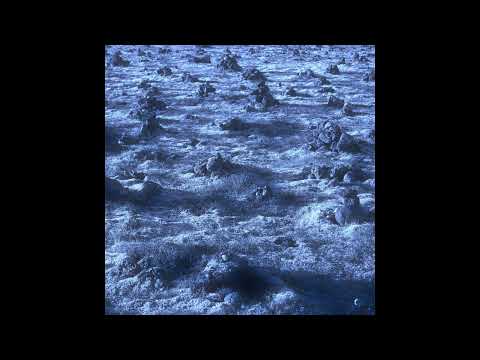 Sonic Spells #6 - Mateusz Grzybowski