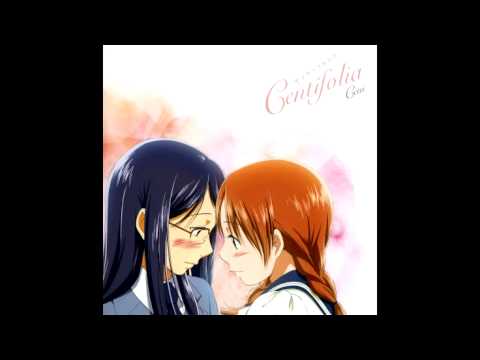 Aoi Hana Centifolia Ceui