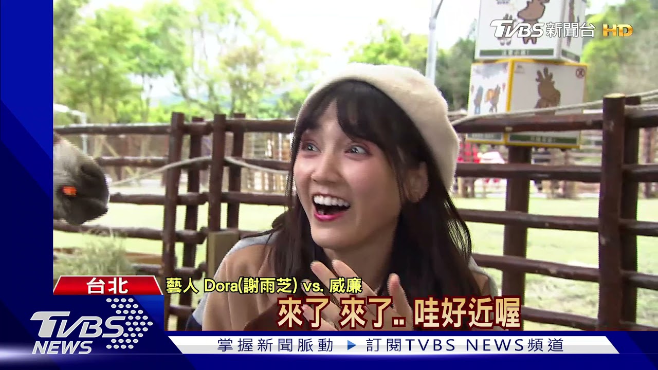 國旅爆發!連假去哪玩?風田、威廉衝宜蘭 規劃「戀愛春遊」