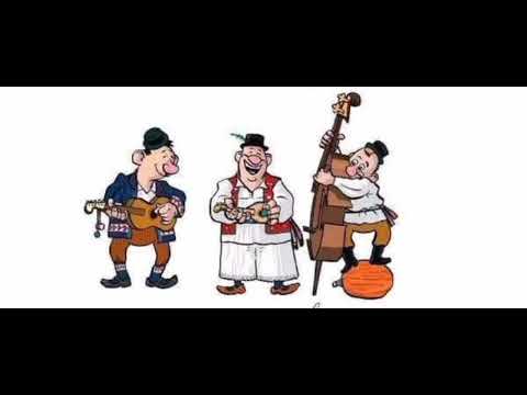 Vojvodjanski tamburaši