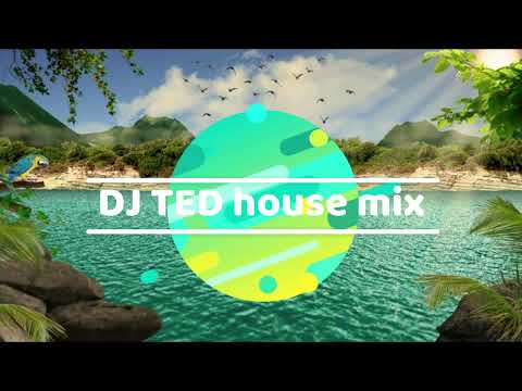 DJ ted house mix
