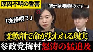 【神質疑】誰も言えないなら私が言う！苦しむ人々のSOSを国政の場に叩きつけた瞬間【梅村みずほ】【参政党】【参議院環境委員会】