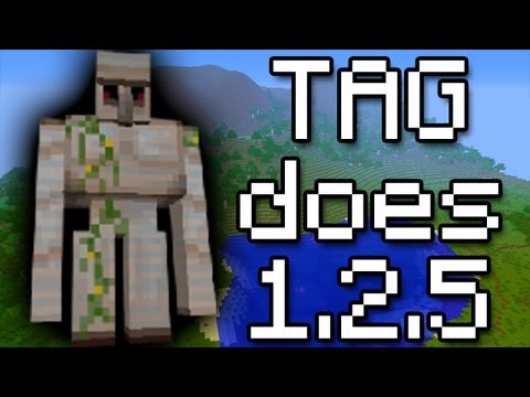 The Minecraft 1.2.5 Experience