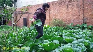 Dia Bahagia 😄 || Musim Dingin Di Taiwan