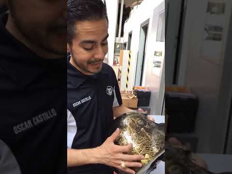 Fábrica de boppola - Verano 2019 - boppola USA - Italia - Italy