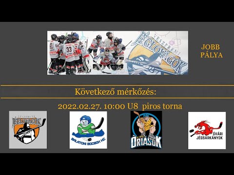 Veszprém U8 piros torna - jobb oldali pálya