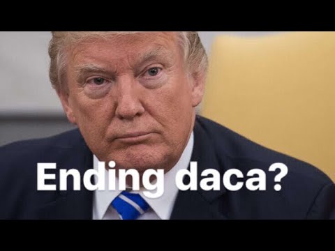 My thoughts S2 EP.2:trump wanting to end daca,David dobrik going back home? Youtuber paid only $511?