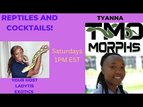 Reptiles and Cocktails-EP 44-TYanna of TMO Morphs