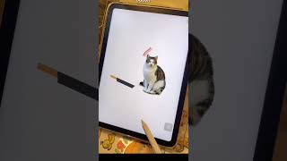 The Art of Cleaning and Organizing – So Relaxing to Watch  #gameplay #games #satisfyingames