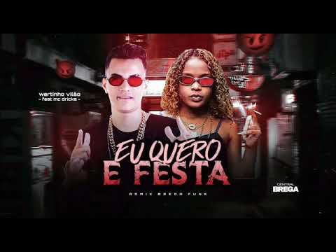 Wertinho Vilão e Mc Dricka - Eu quero é Festa ( Remix Brega Funk )