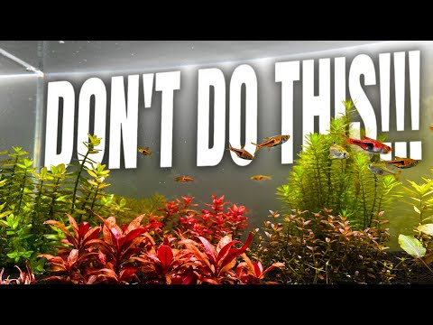 Don't Make These Beginner Mistakes (CHANGE YOUR MINDSET!!!)