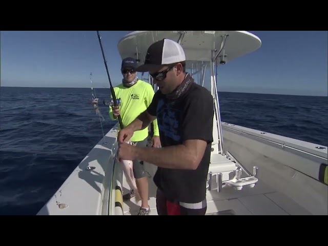 Vídeo relacionado con Buxuaaaa Dipsy Diver - Conector de disco de buceo ajustable, accesorios de pesca, 45/57/87 mm de diámetro, accesorio de arrastre de grado marino