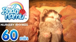Nursery Rhymes Vol 2 | Badanamu Compilation l Nursery Rhymes & Kids Songs