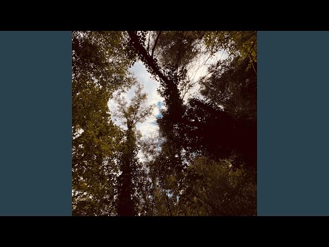 Awaken your inner strength