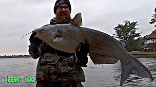 Fishing for BLUE CATS with BIG baits! (Surprise Catch)