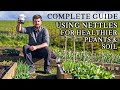 Amazing Way To Use NETTLES To Improve Seedling Success