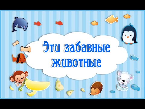 ПРИКОЛЫ С ЖИВОТНЫМИ #приколысживотными #смешныеживотные FUN WITH ANIMALS