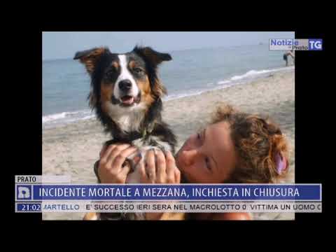 2017-07-18 NOTIZIE DI PRATO TG ORE 20.50