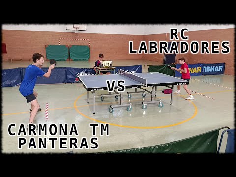 Carmona TM Panteras vs RC Labradores | División Honor Andaluza | Temporada 2025-2026