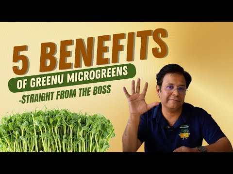 🌿 5 Benefits of Greenu Microgreens, Straight from the Boss Man!