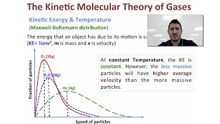 Gases | The Kinetic Molecular Theory of Gases.