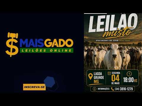 🐂🐄🐃 LEILÃO MISTO DE BOVINOS - LAGOA GRANDE/MG - MAIS GADO LEILÕES 🐂🐄🐃