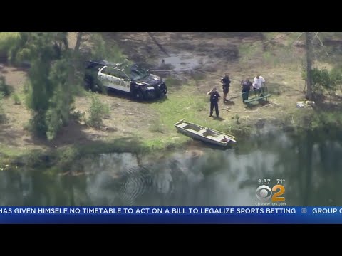 Woman's Body Found After Alligator Attack In Florida