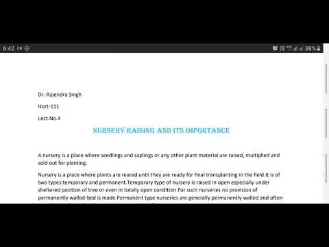 Video