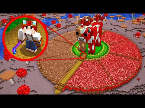 AQUELE DIA QUE FIZ UMA FARM DE VACA COGUMELO - Irmandade