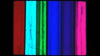 Warm Digits - Weapons Destruction