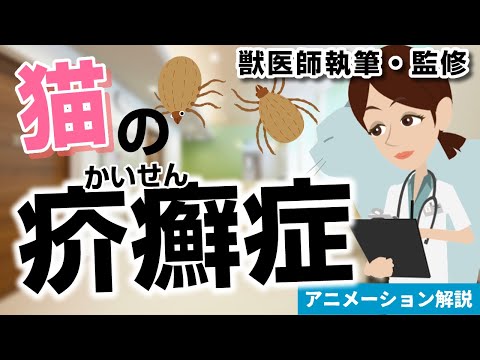 猫の肉腫疥癬 – 原因と治療法