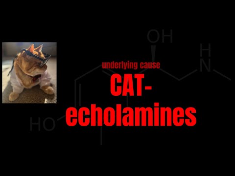Sympathomimetic Toxicity