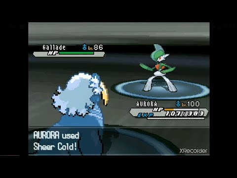 SHEER COLD VS FOCUS SASH