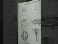 11TH STD BIO BOTANY COMMON QUARTERLYEXAM SEPTEMBER 2023 CHAPTER 1 8 IMPORTANTDIAGRAMS II 11TH BOTANY
