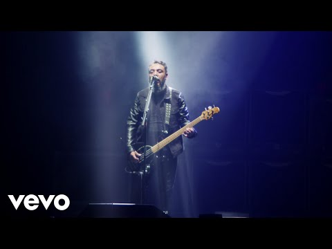 Videoclip de Cerdo (Desde El Palacio De Los Deportes) — Molotov