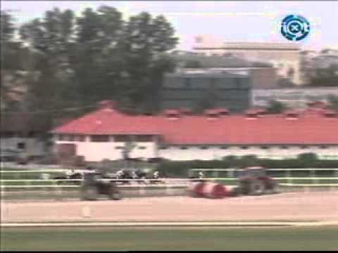 Star Fury Kincsem díj