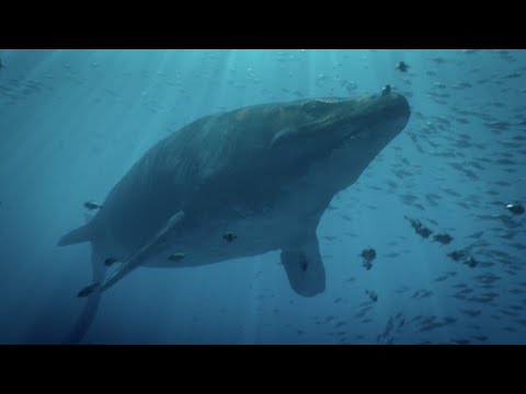 SOLO CLAIMING OP Underwater cave DAY 1 - ARK PVP