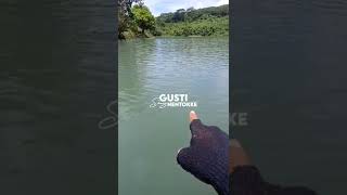 Download lagu SEMANGAT lan mboten njepatt.. #Short #Shorts mp3 Download lagu SEMANGAT lan mboten njepatt.. #Short #Shorts mp3